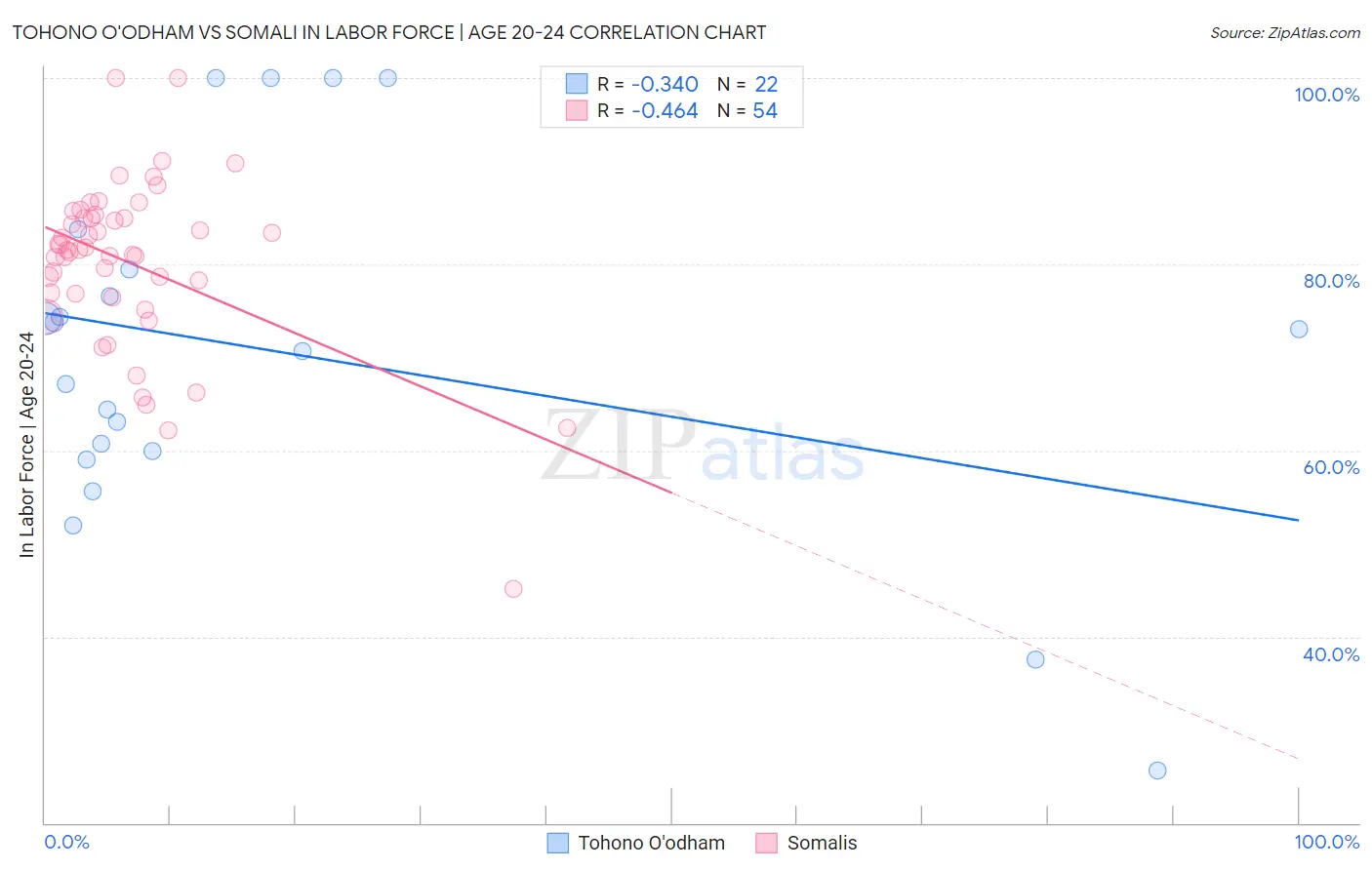 Tohono O'odham vs Somali In Labor Force | Age 20-24