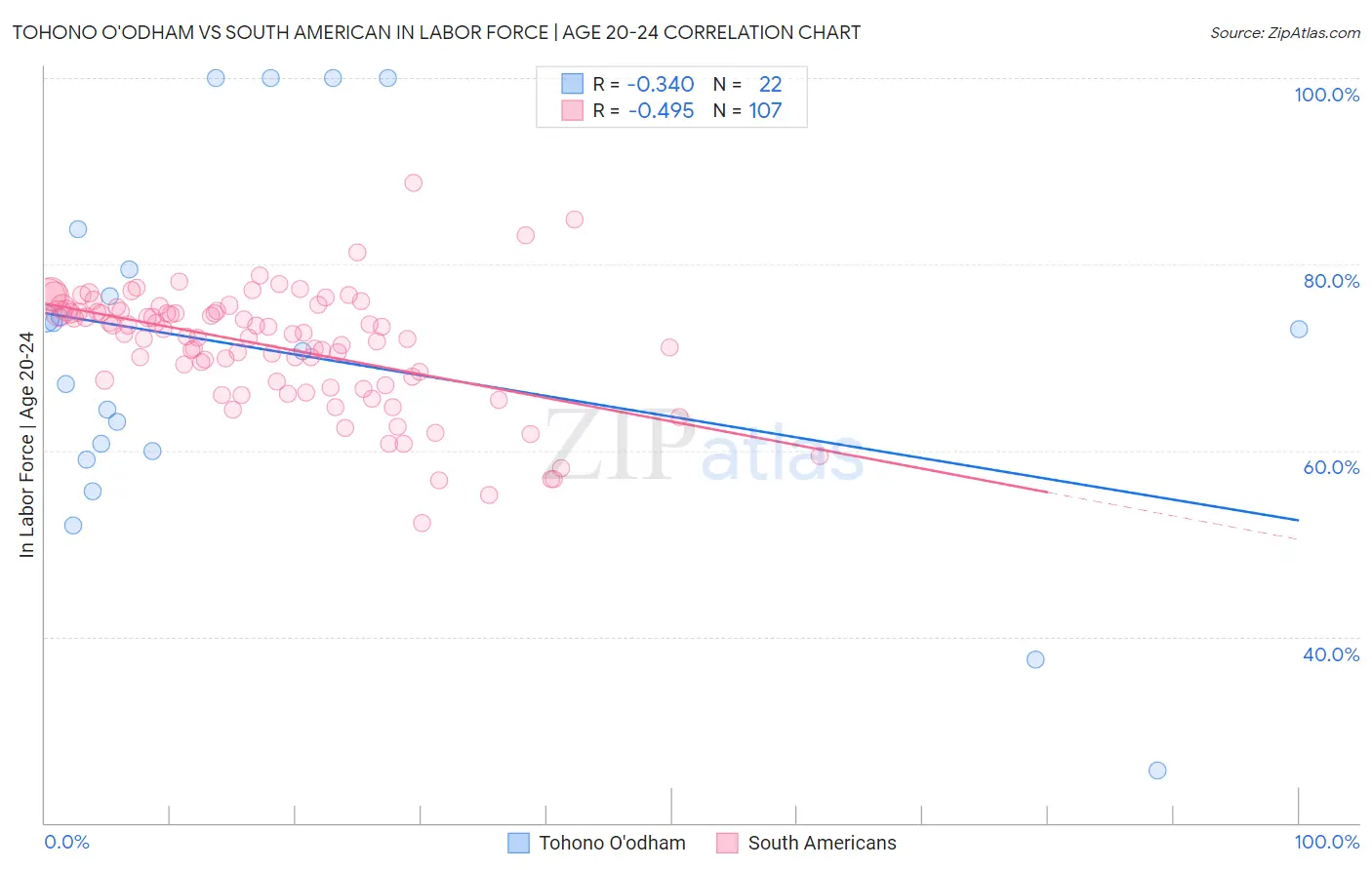 Tohono O'odham vs South American In Labor Force | Age 20-24