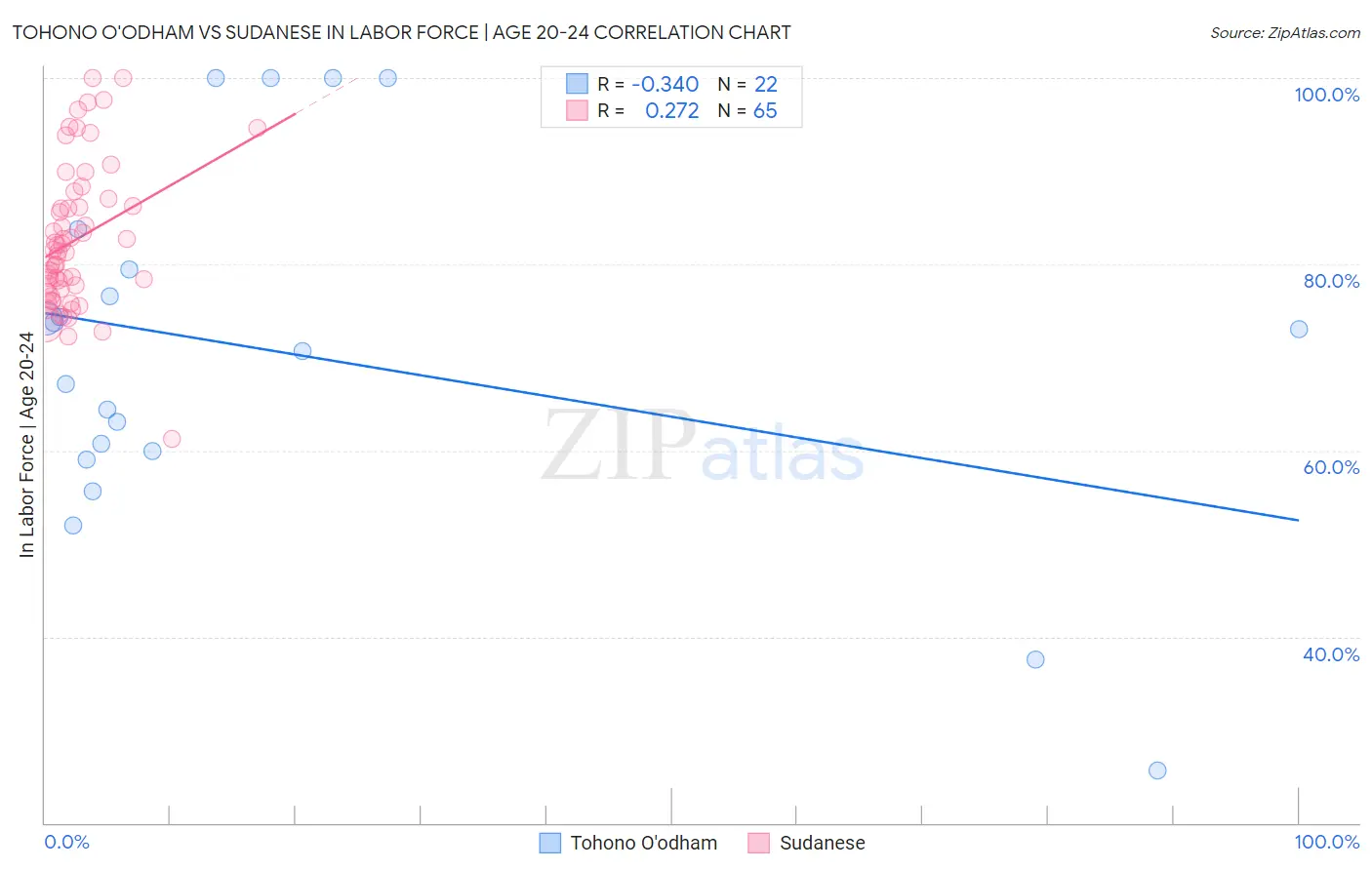 Tohono O'odham vs Sudanese In Labor Force | Age 20-24