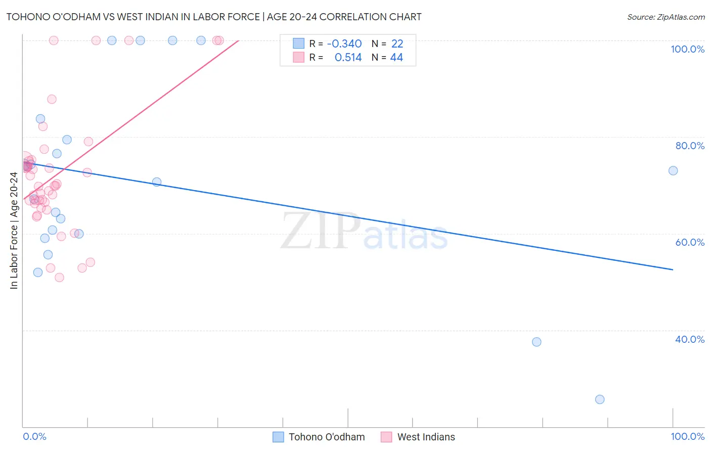 Tohono O'odham vs West Indian In Labor Force | Age 20-24