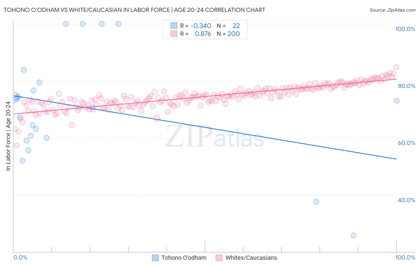 Tohono O'odham vs White/Caucasian In Labor Force | Age 20-24