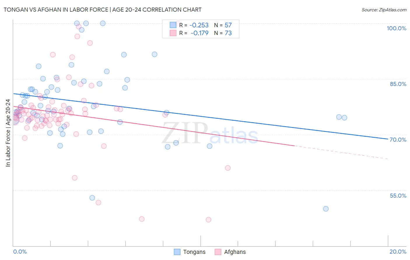Tongan vs Afghan In Labor Force | Age 20-24