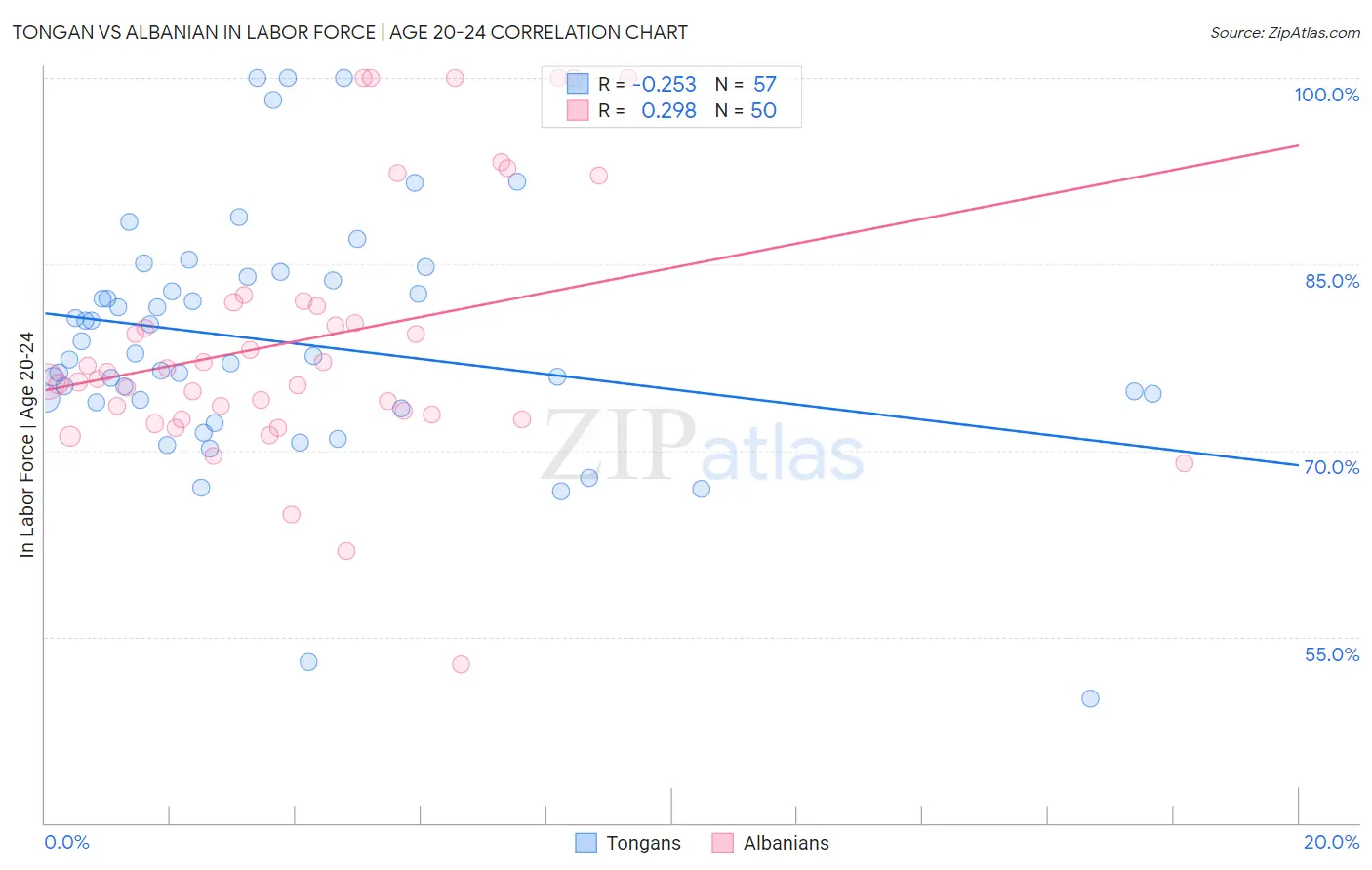 Tongan vs Albanian In Labor Force | Age 20-24