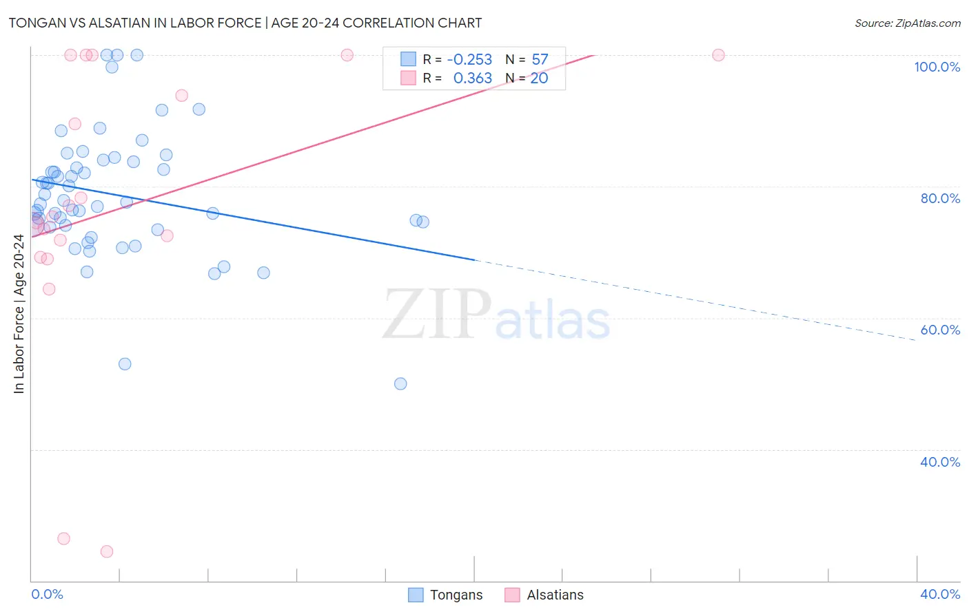 Tongan vs Alsatian In Labor Force | Age 20-24