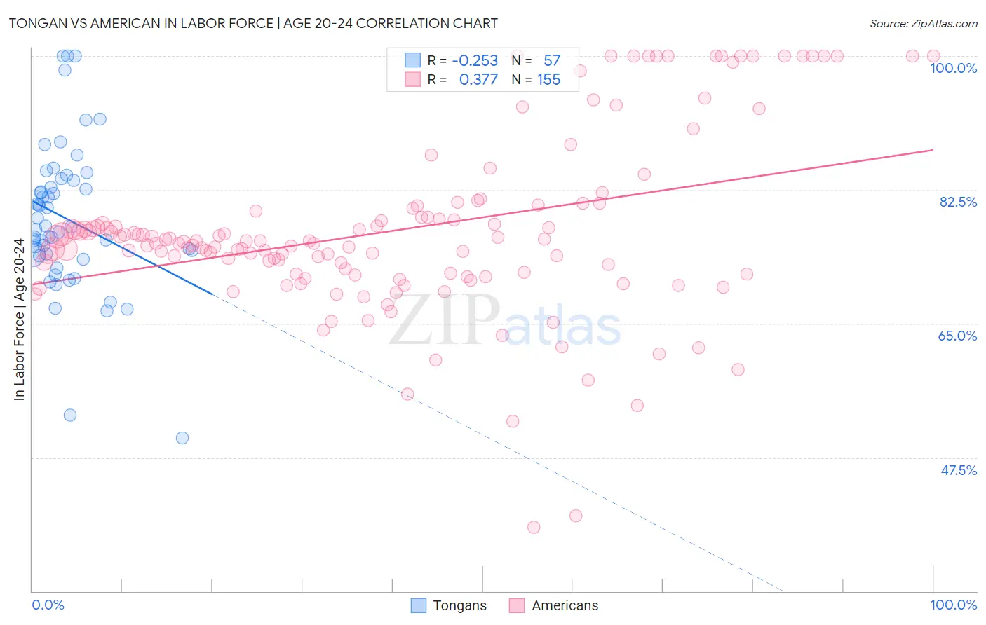 Tongan vs American In Labor Force | Age 20-24
