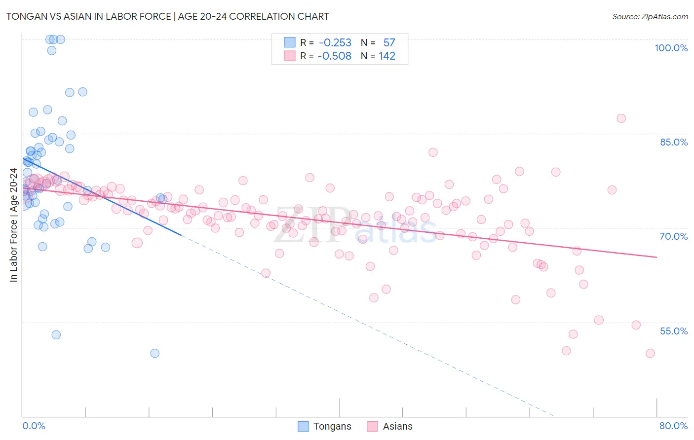 Tongan vs Asian In Labor Force | Age 20-24