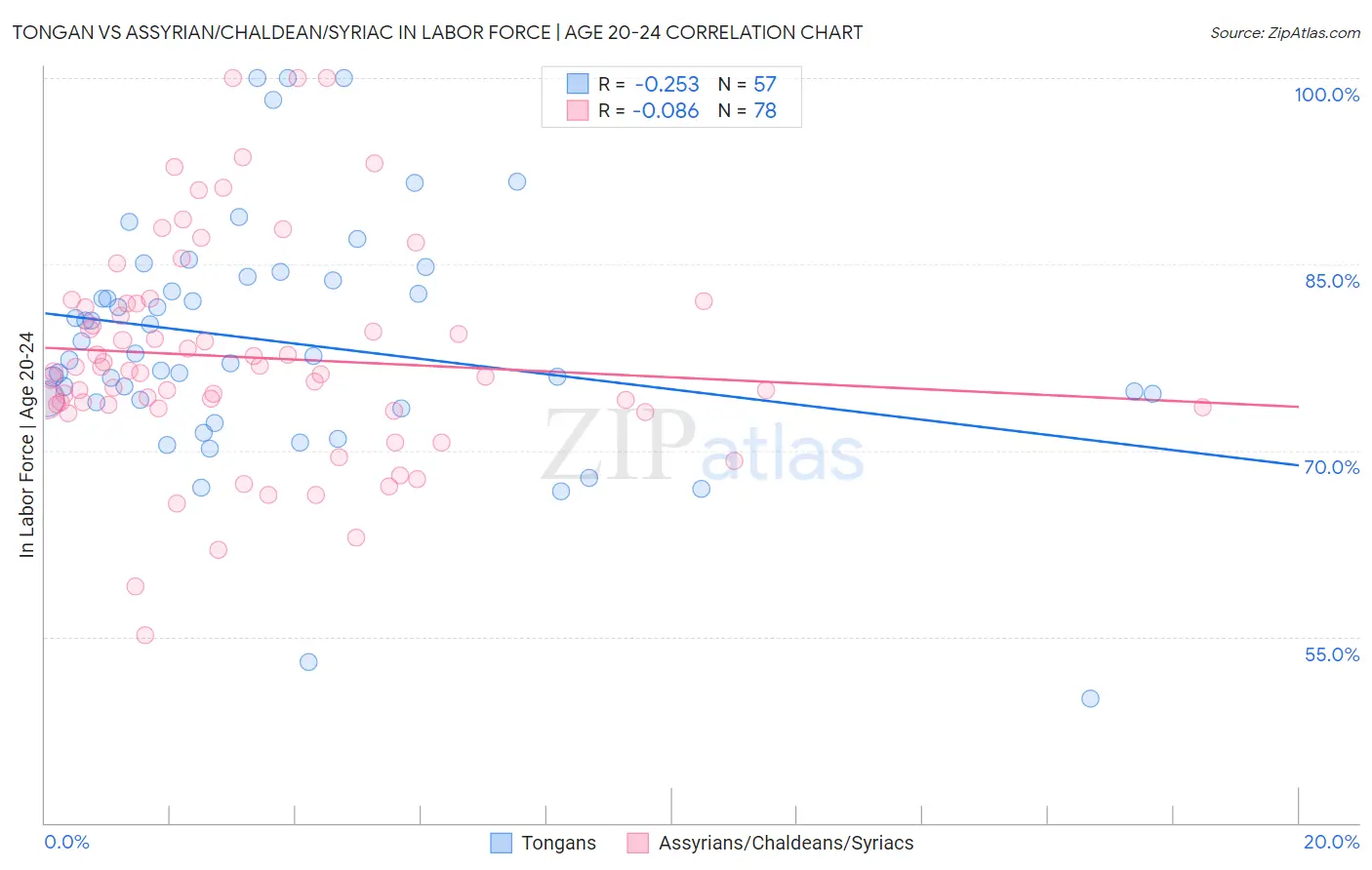 Tongan vs Assyrian/Chaldean/Syriac In Labor Force | Age 20-24