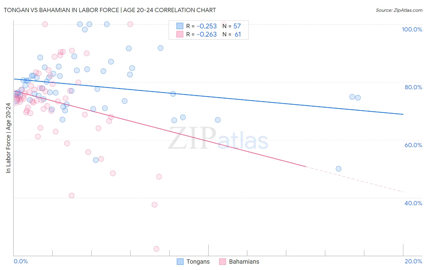 Tongan vs Bahamian In Labor Force | Age 20-24