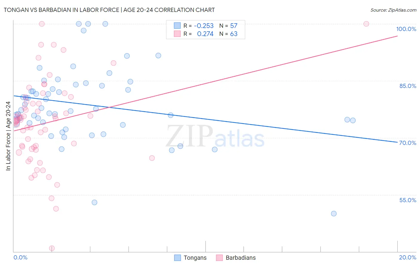 Tongan vs Barbadian In Labor Force | Age 20-24