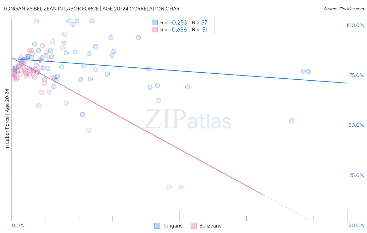 Tongan vs Belizean In Labor Force | Age 20-24