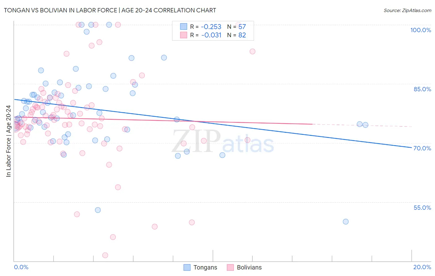 Tongan vs Bolivian In Labor Force | Age 20-24