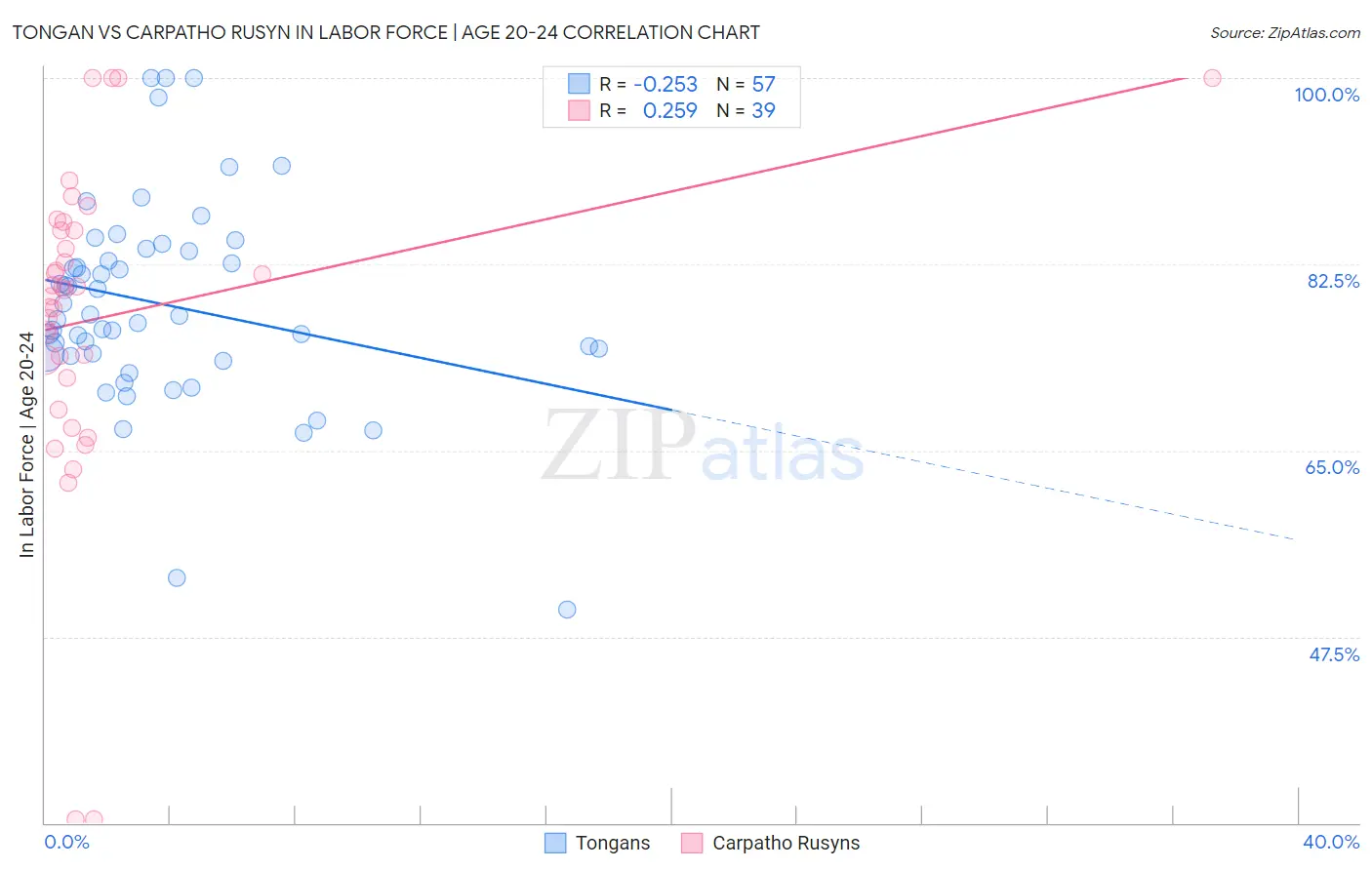 Tongan vs Carpatho Rusyn In Labor Force | Age 20-24