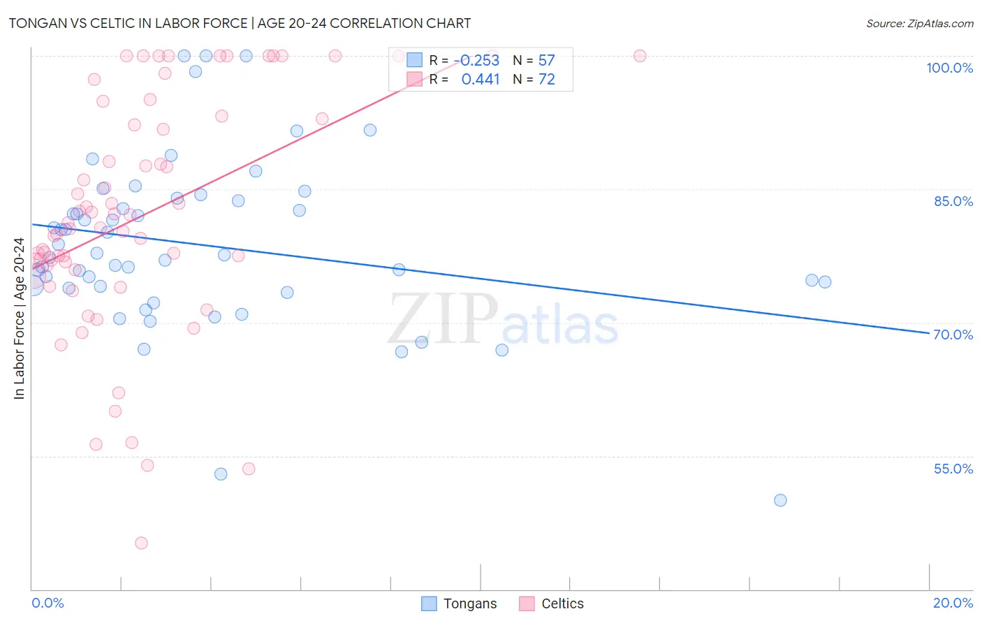 Tongan vs Celtic In Labor Force | Age 20-24