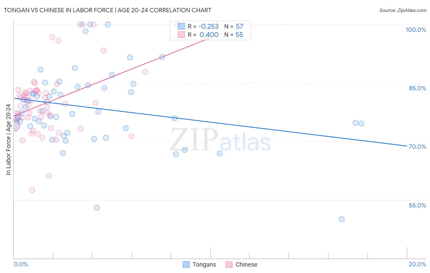 Tongan vs Chinese In Labor Force | Age 20-24
