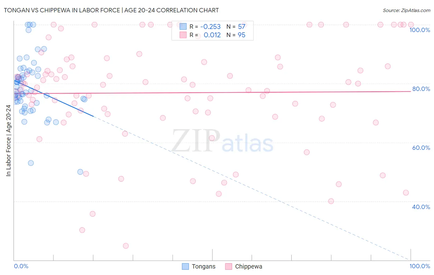 Tongan vs Chippewa In Labor Force | Age 20-24