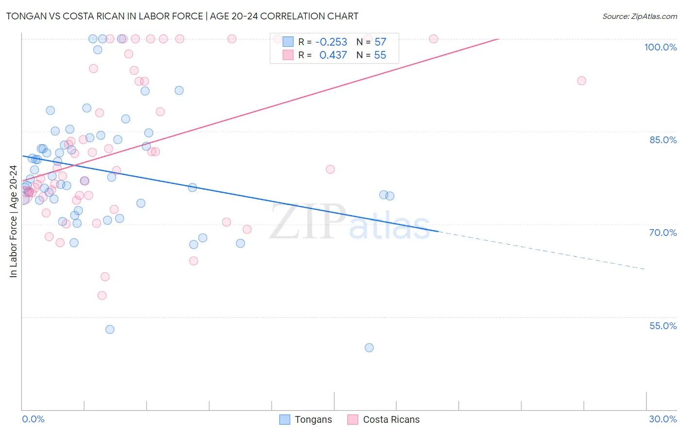 Tongan vs Costa Rican In Labor Force | Age 20-24