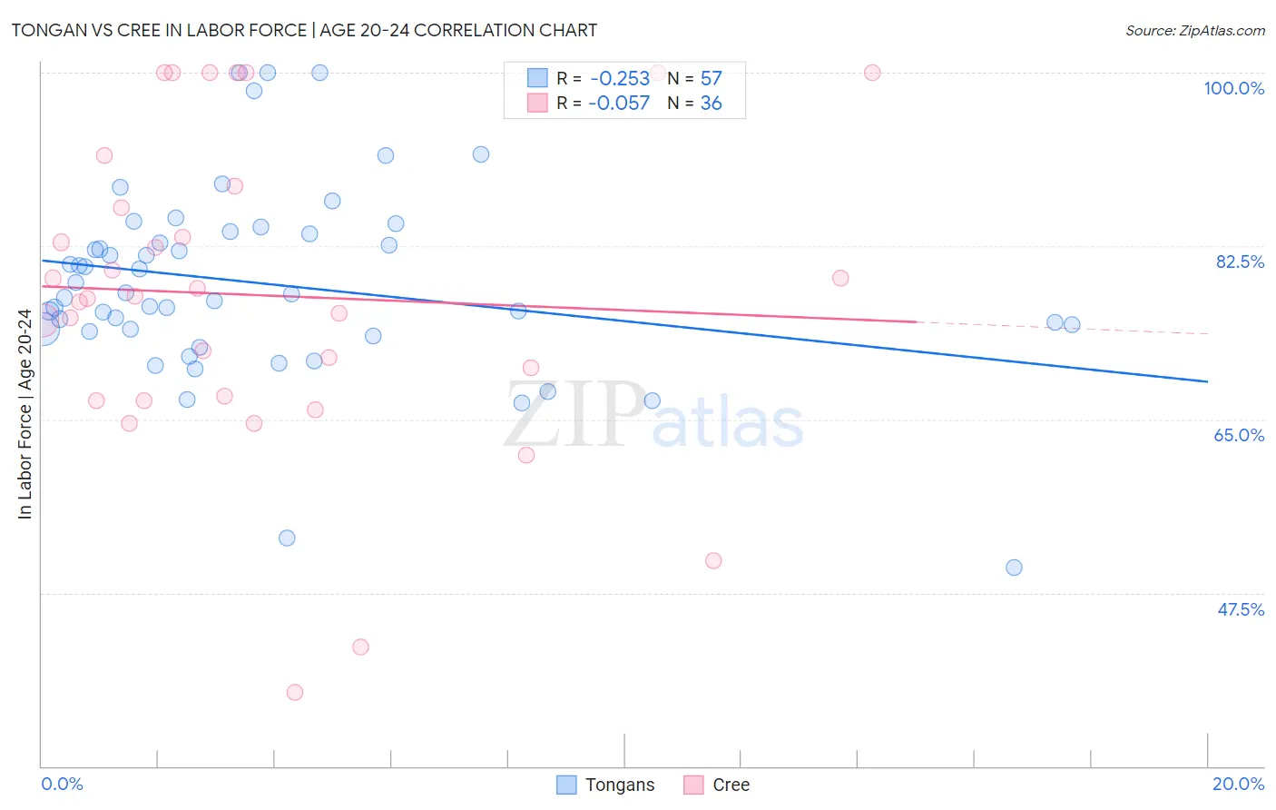 Tongan vs Cree In Labor Force | Age 20-24