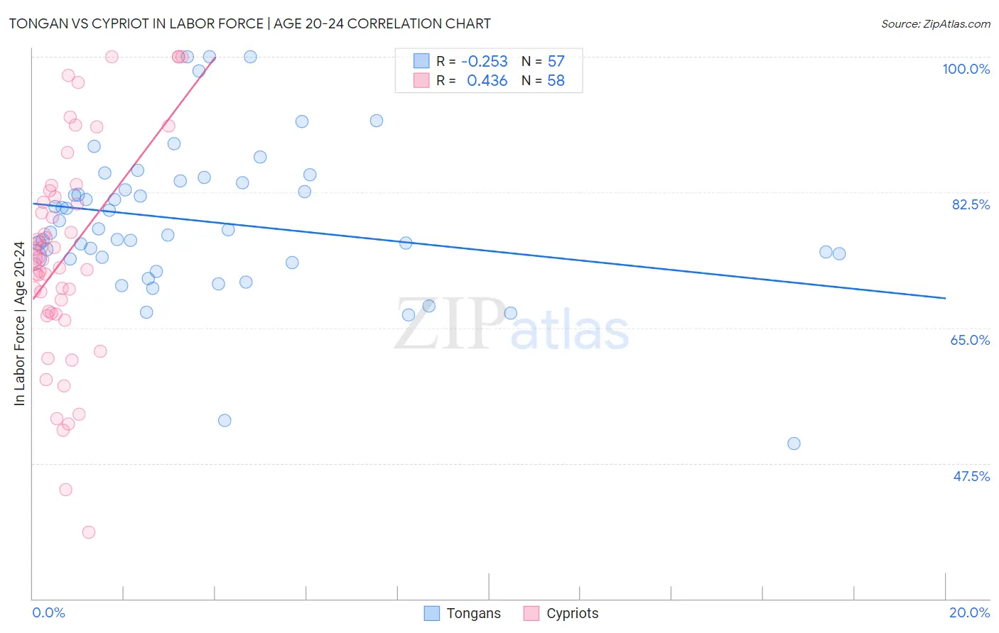 Tongan vs Cypriot In Labor Force | Age 20-24