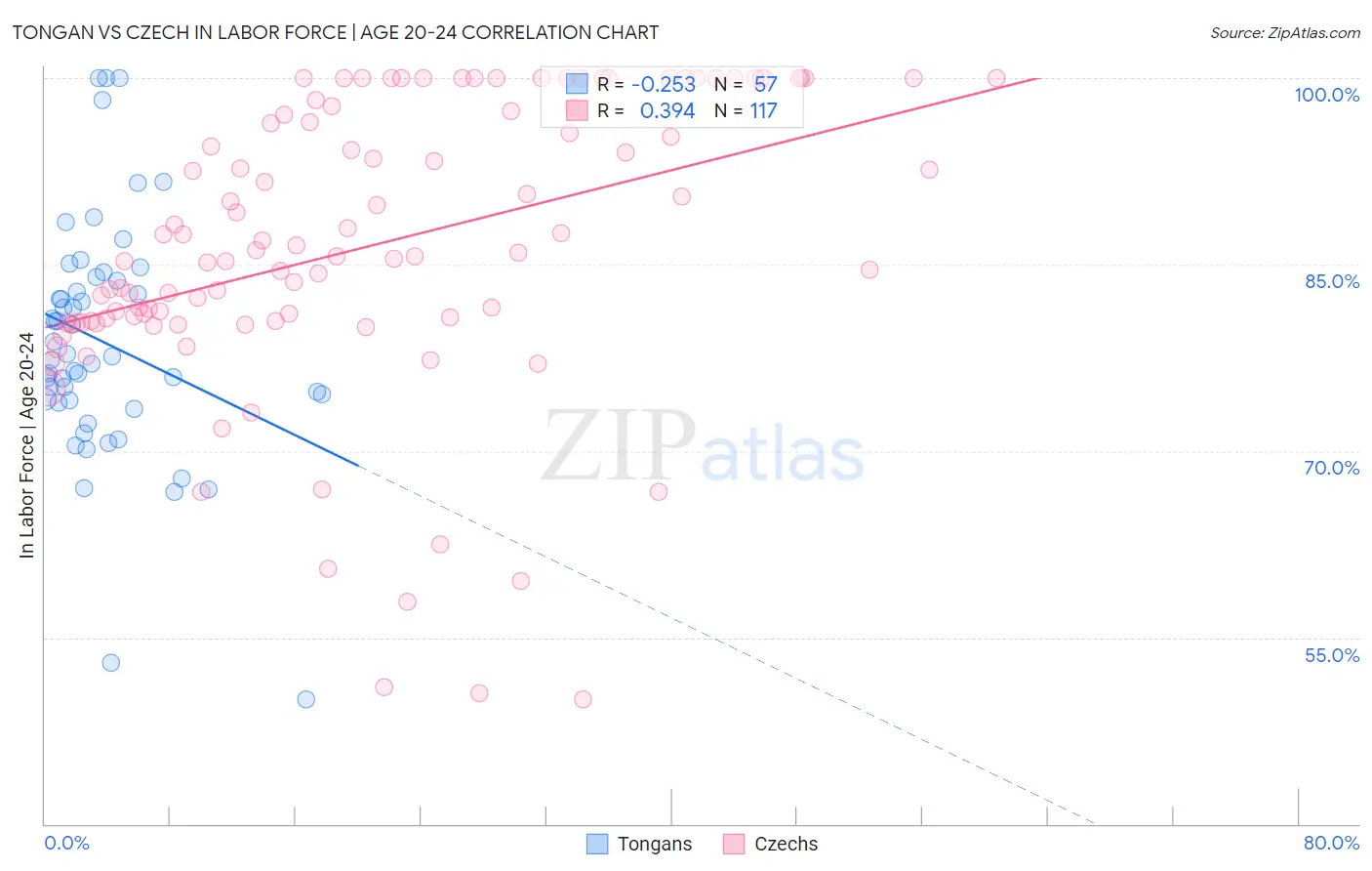 Tongan vs Czech In Labor Force | Age 20-24