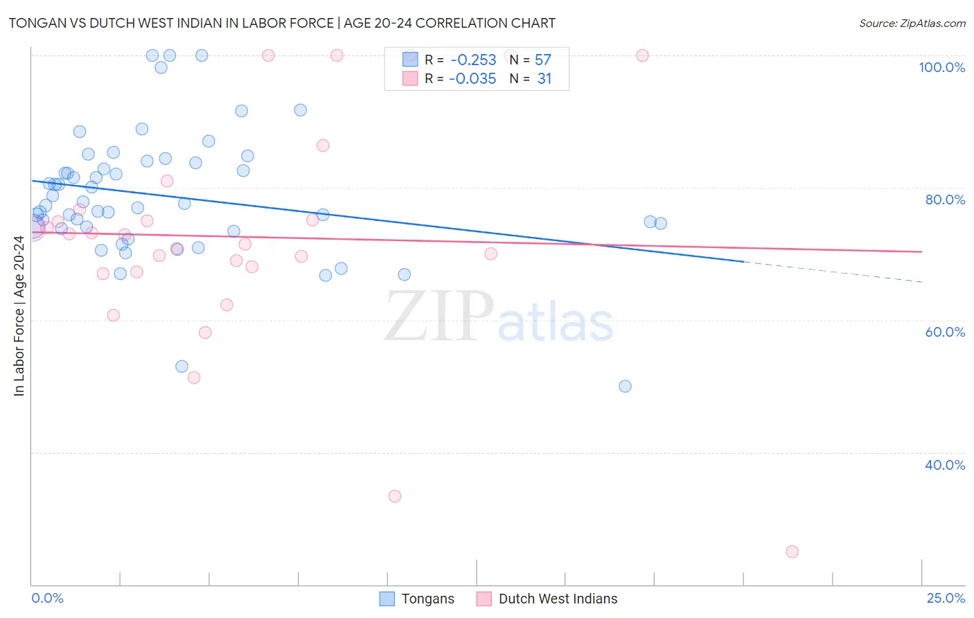 Tongan vs Dutch West Indian In Labor Force | Age 20-24