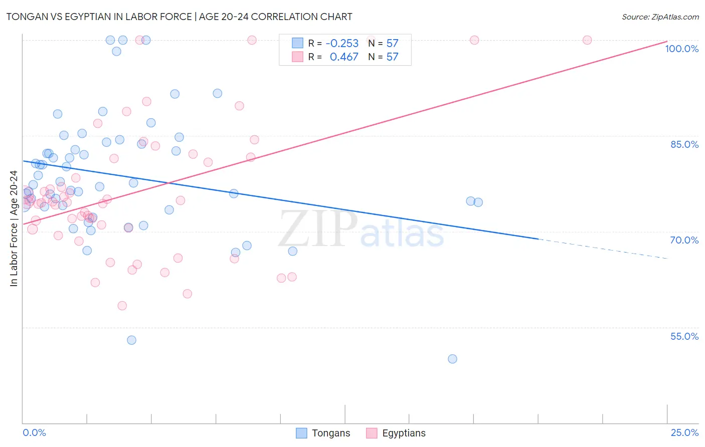 Tongan vs Egyptian In Labor Force | Age 20-24