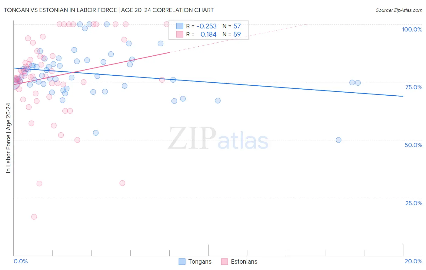 Tongan vs Estonian In Labor Force | Age 20-24