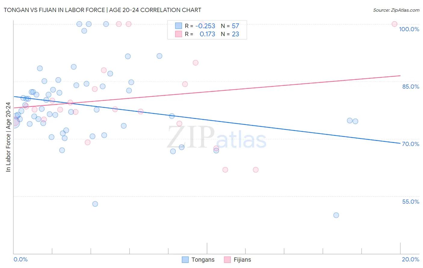 Tongan vs Fijian In Labor Force | Age 20-24