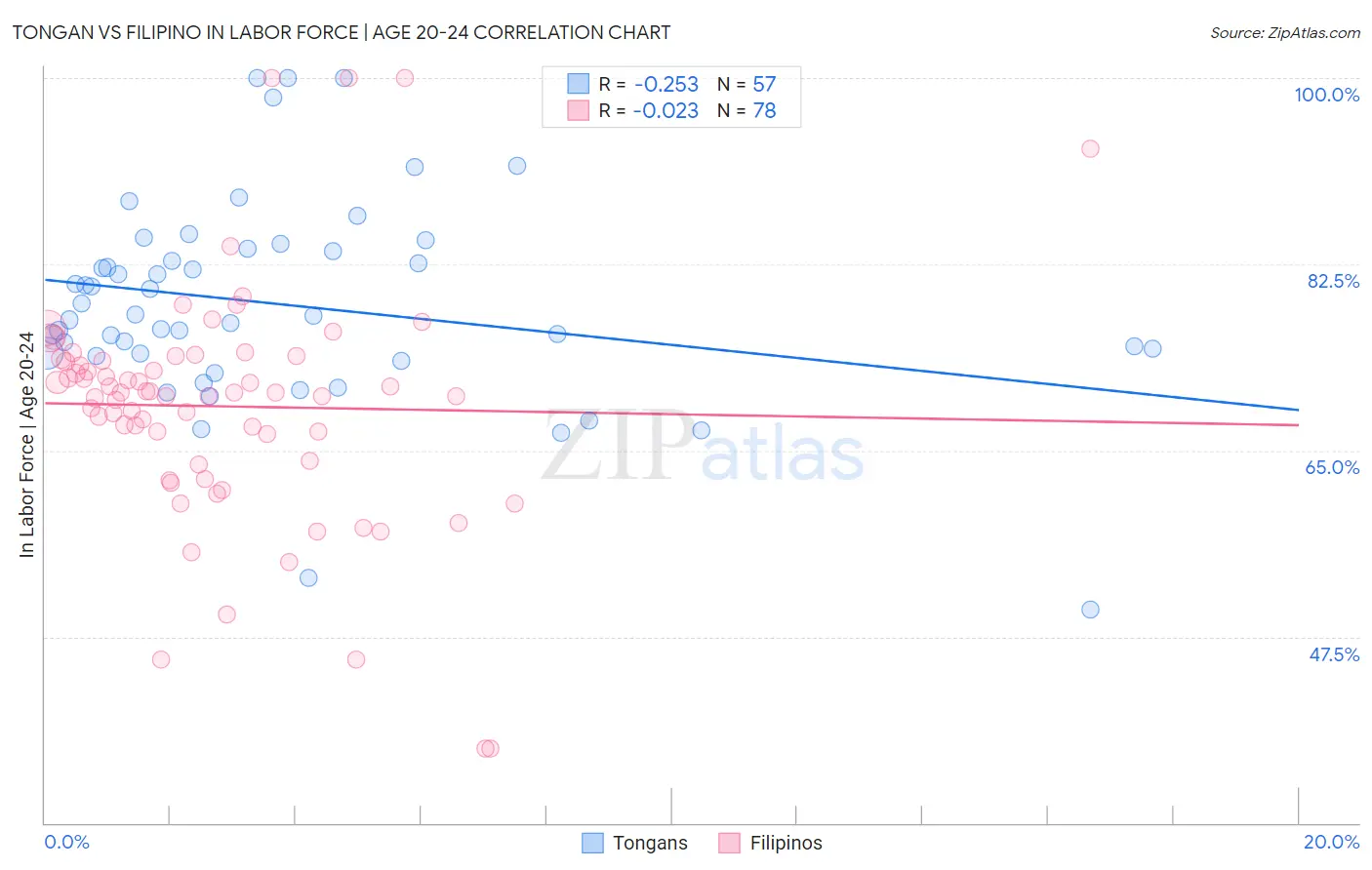 Tongan vs Filipino In Labor Force | Age 20-24