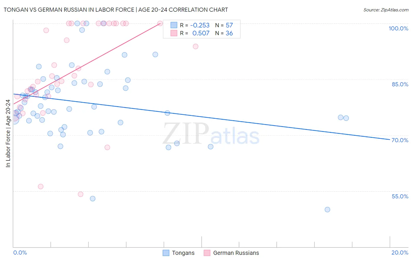 Tongan vs German Russian In Labor Force | Age 20-24