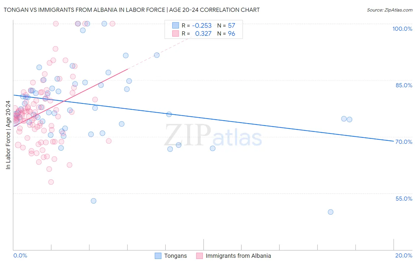 Tongan vs Immigrants from Albania In Labor Force | Age 20-24