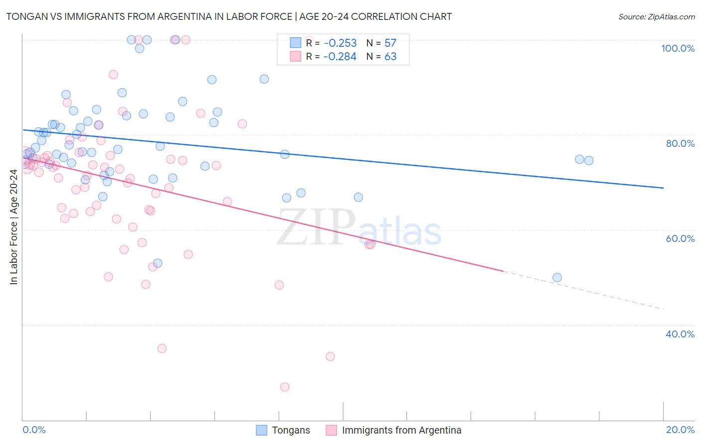 Tongan vs Immigrants from Argentina In Labor Force | Age 20-24