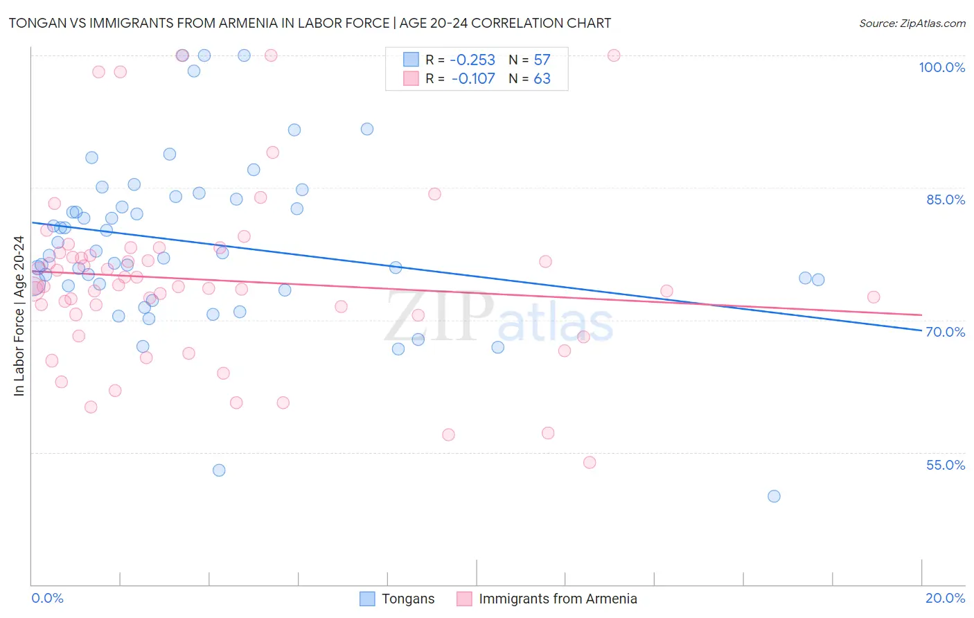 Tongan vs Immigrants from Armenia In Labor Force | Age 20-24
