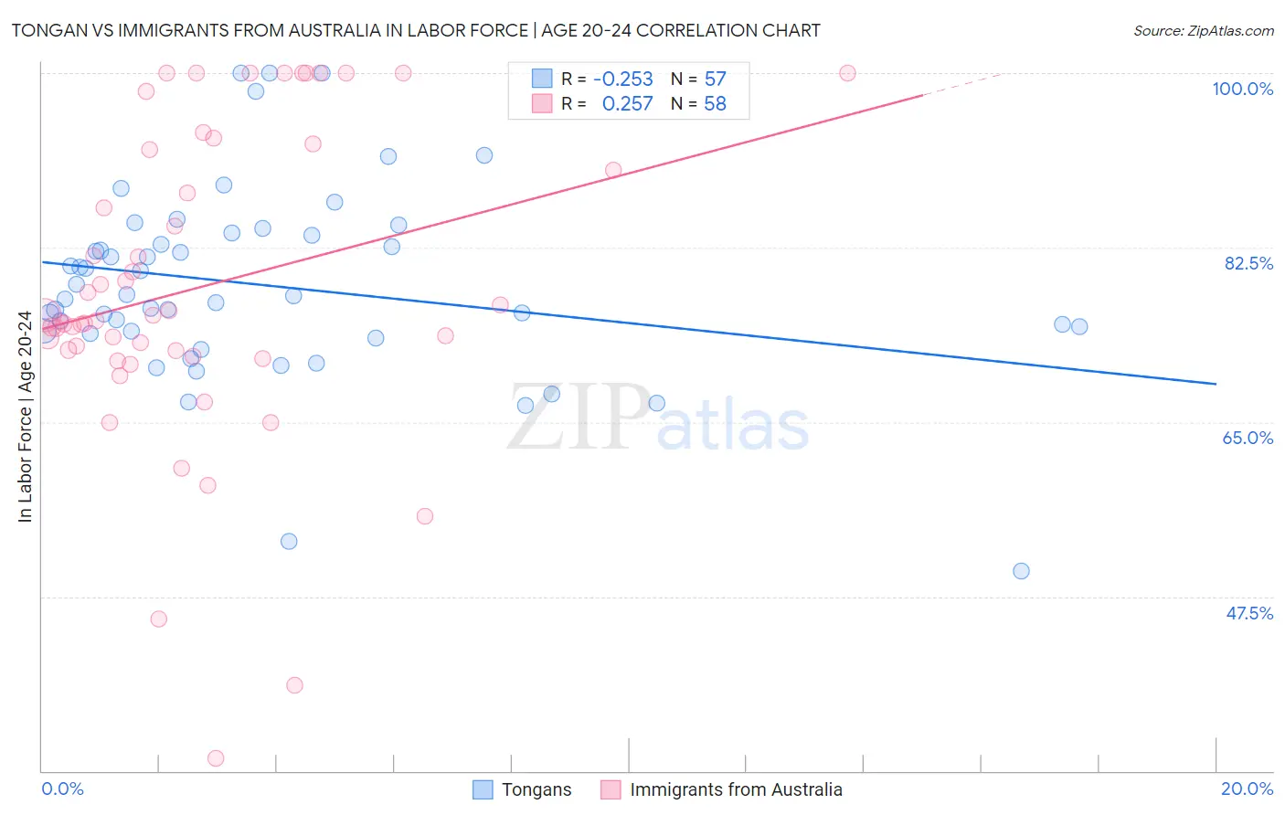 Tongan vs Immigrants from Australia In Labor Force | Age 20-24
