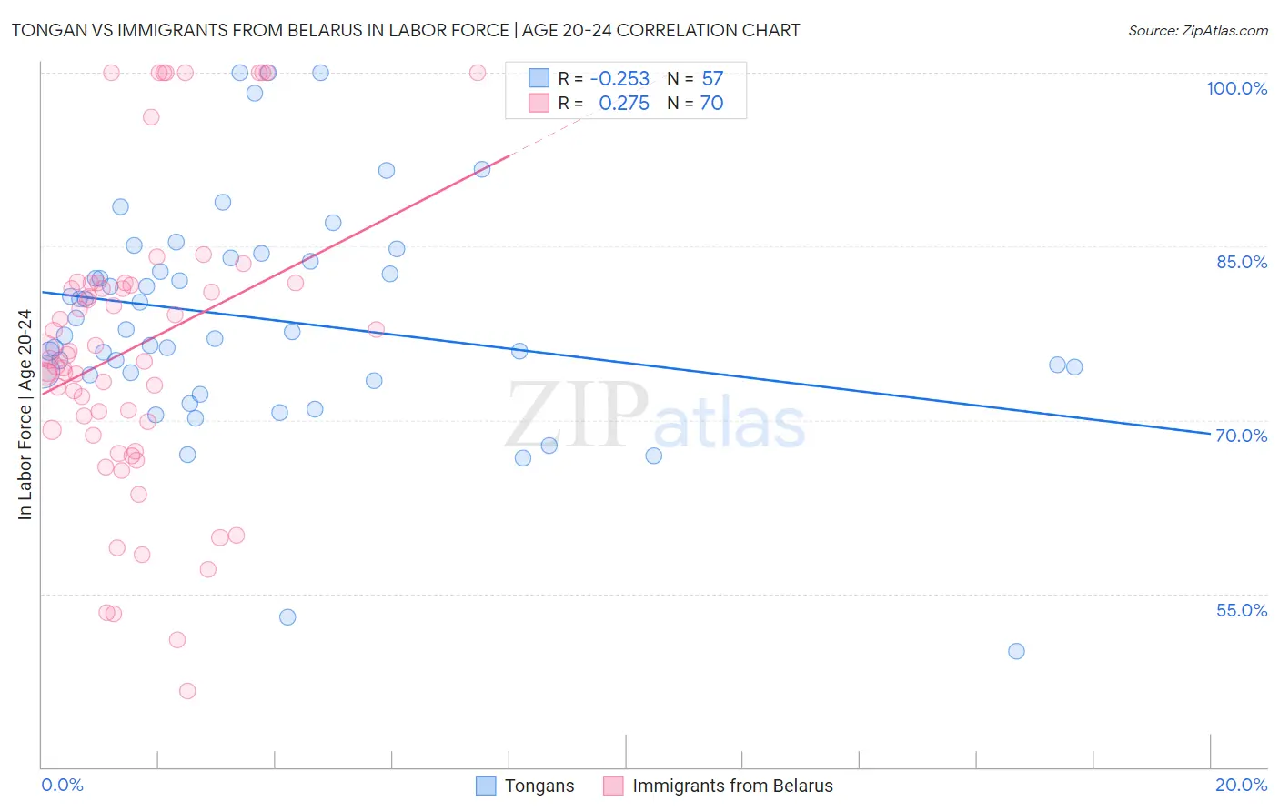 Tongan vs Immigrants from Belarus In Labor Force | Age 20-24