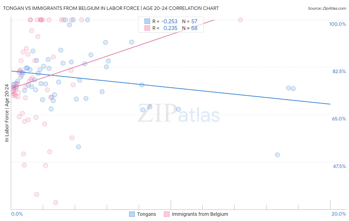 Tongan vs Immigrants from Belgium In Labor Force | Age 20-24