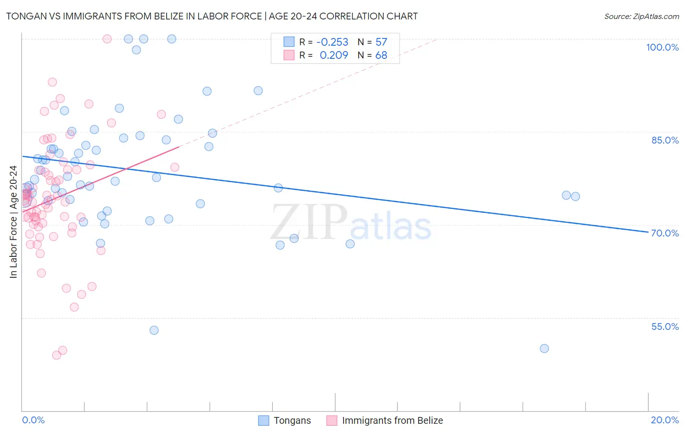Tongan vs Immigrants from Belize In Labor Force | Age 20-24