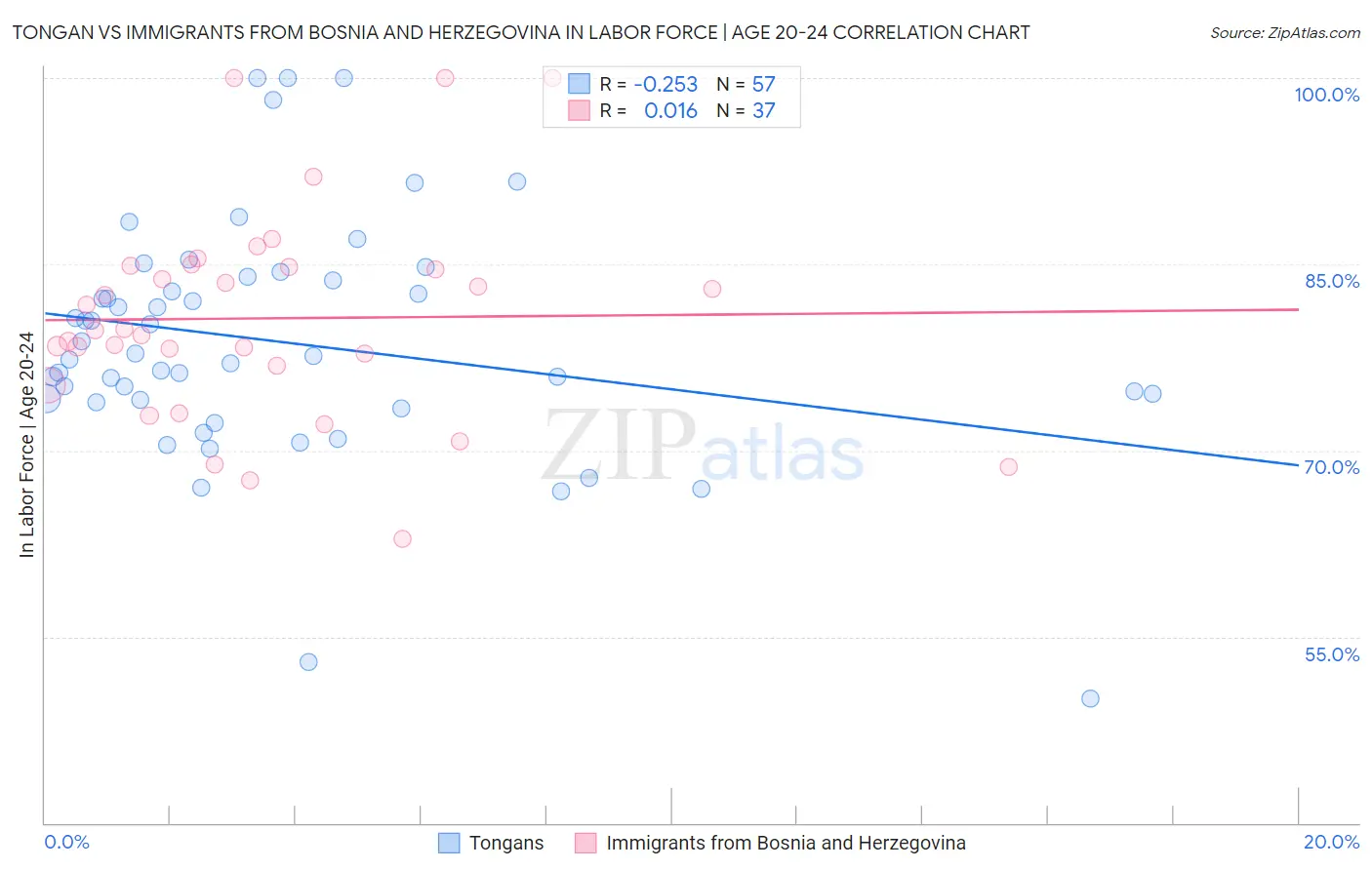 Tongan vs Immigrants from Bosnia and Herzegovina In Labor Force | Age 20-24