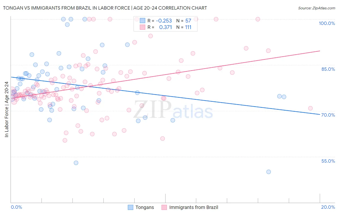 Tongan vs Immigrants from Brazil In Labor Force | Age 20-24