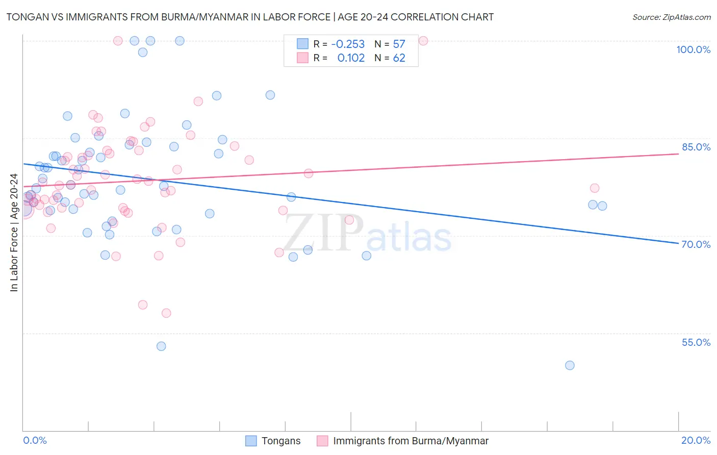 Tongan vs Immigrants from Burma/Myanmar In Labor Force | Age 20-24