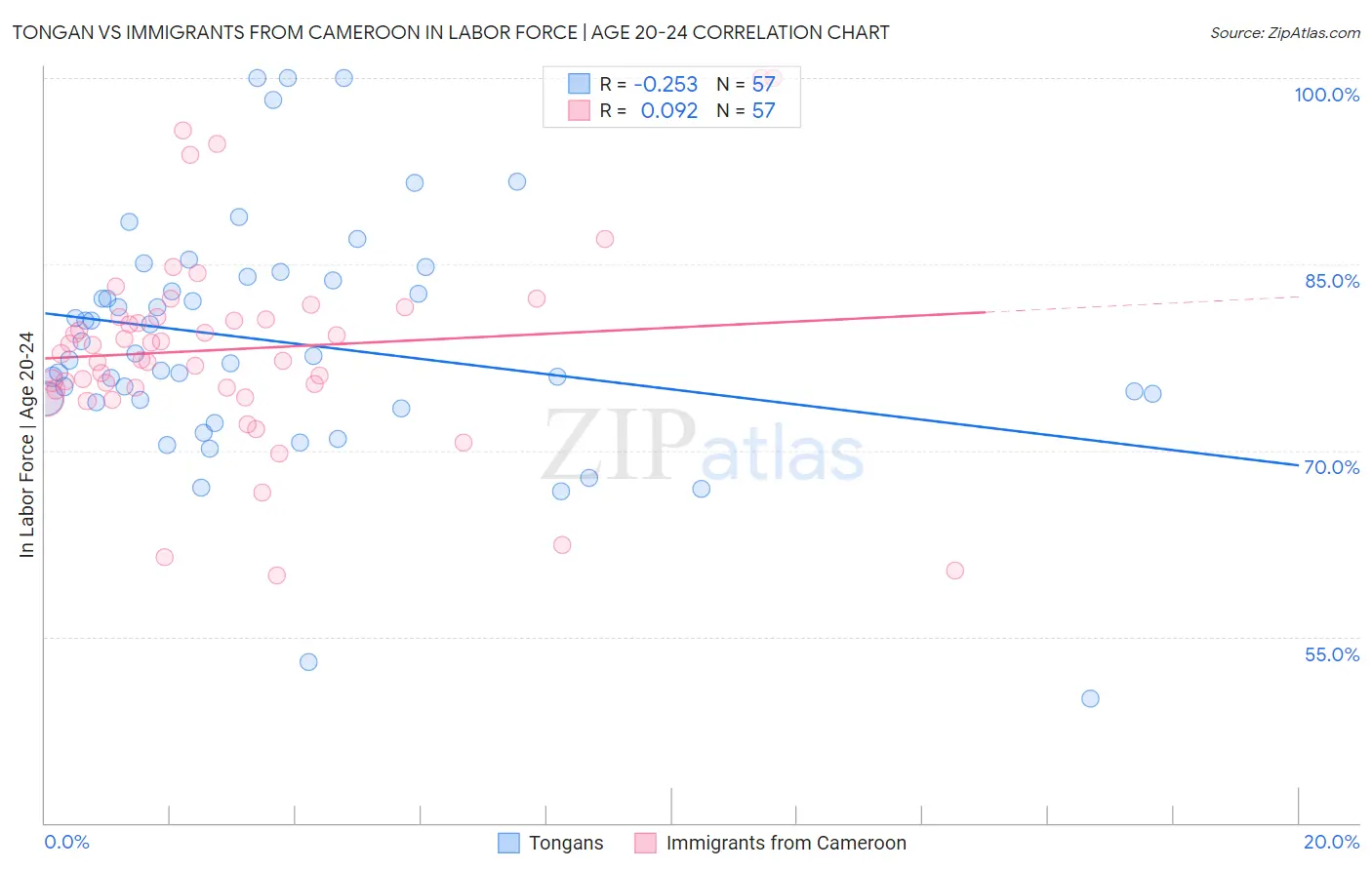 Tongan vs Immigrants from Cameroon In Labor Force | Age 20-24