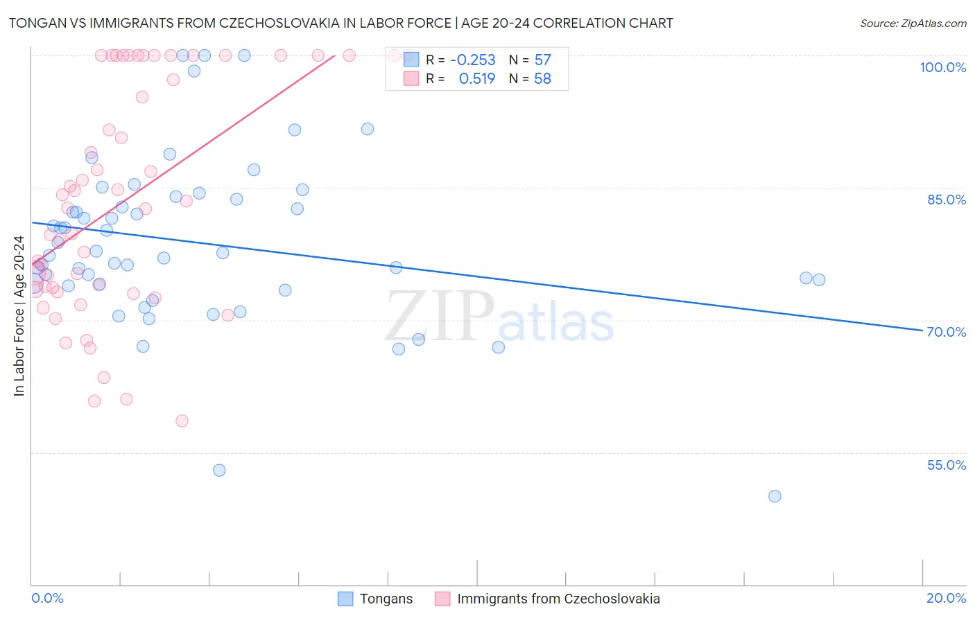 Tongan vs Immigrants from Czechoslovakia In Labor Force | Age 20-24