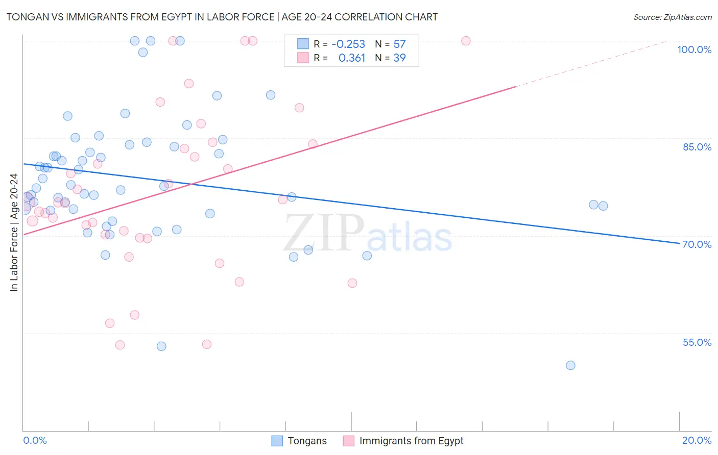 Tongan vs Immigrants from Egypt In Labor Force | Age 20-24