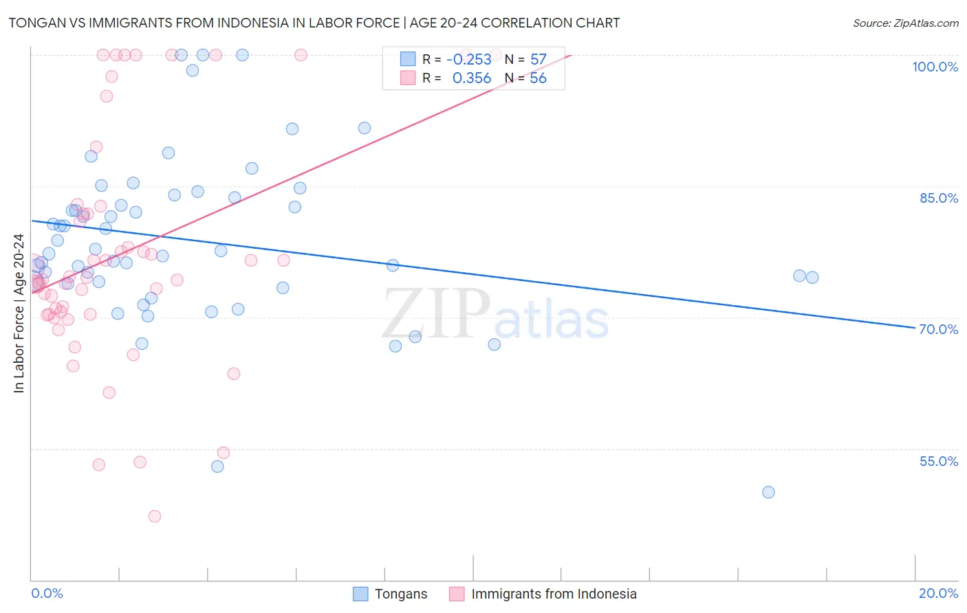 Tongan vs Immigrants from Indonesia In Labor Force | Age 20-24