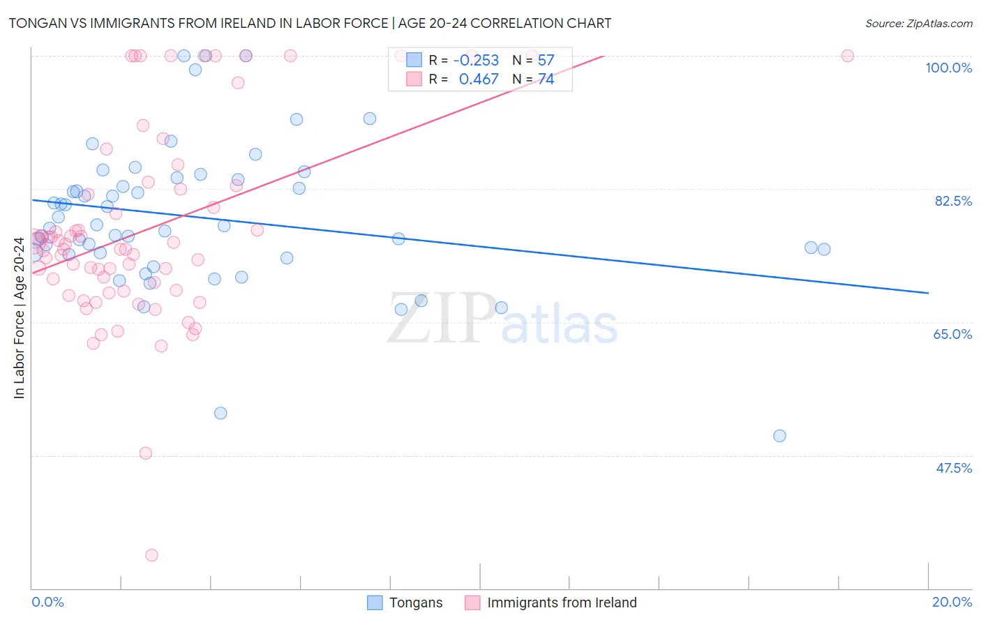 Tongan vs Immigrants from Ireland In Labor Force | Age 20-24