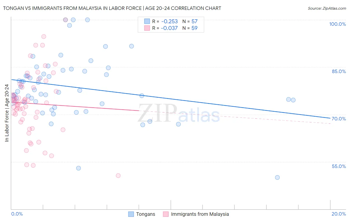 Tongan vs Immigrants from Malaysia In Labor Force | Age 20-24