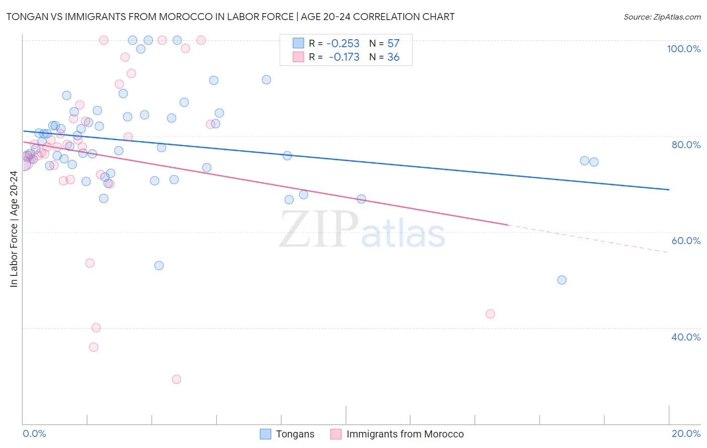 Tongan vs Immigrants from Morocco In Labor Force | Age 20-24