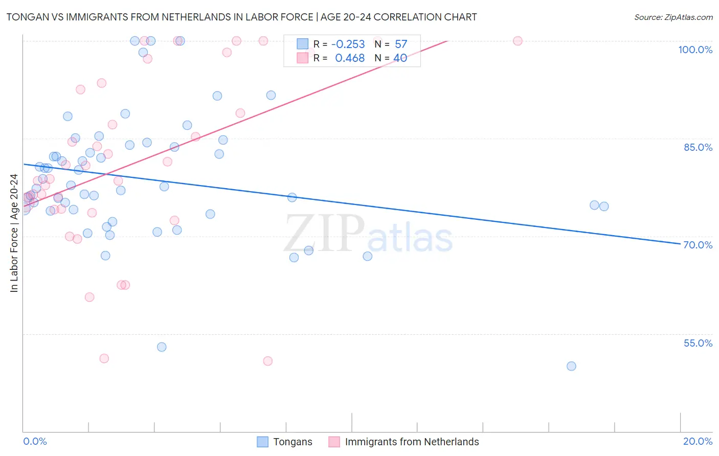 Tongan vs Immigrants from Netherlands In Labor Force | Age 20-24