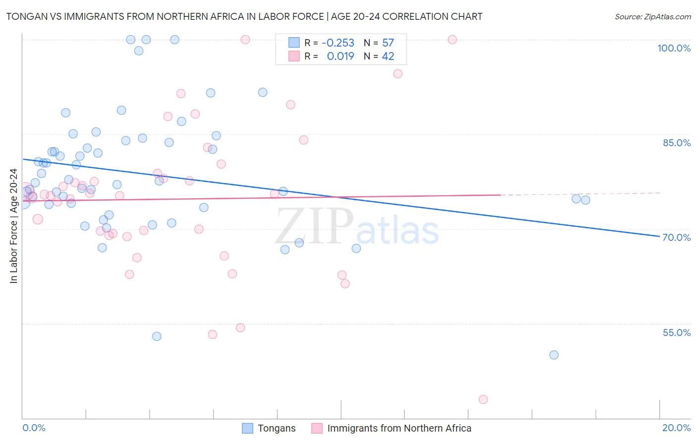 Tongan vs Immigrants from Northern Africa In Labor Force | Age 20-24