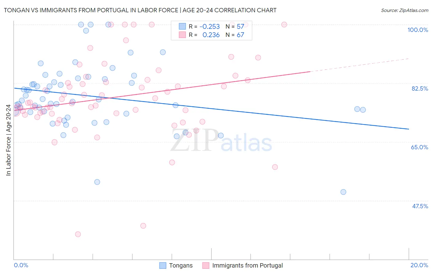 Tongan vs Immigrants from Portugal In Labor Force | Age 20-24