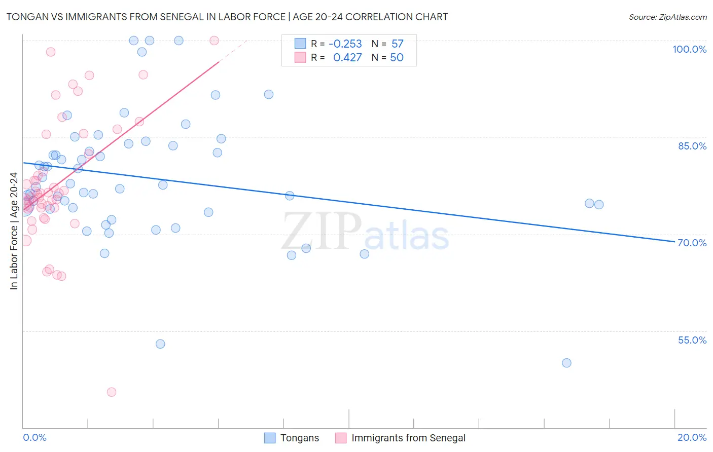 Tongan vs Immigrants from Senegal In Labor Force | Age 20-24